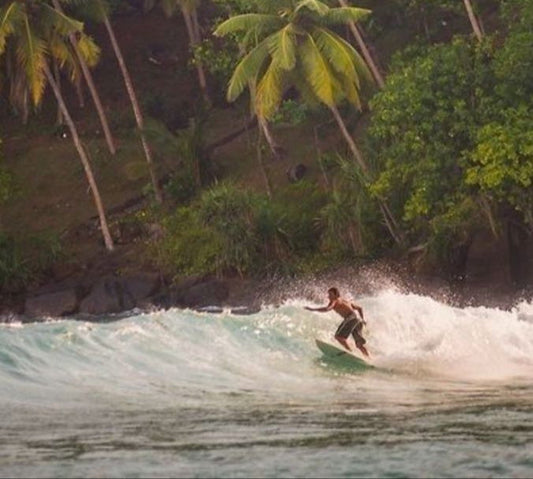 From Surf Club to Soap Bars: The Zahavier Story